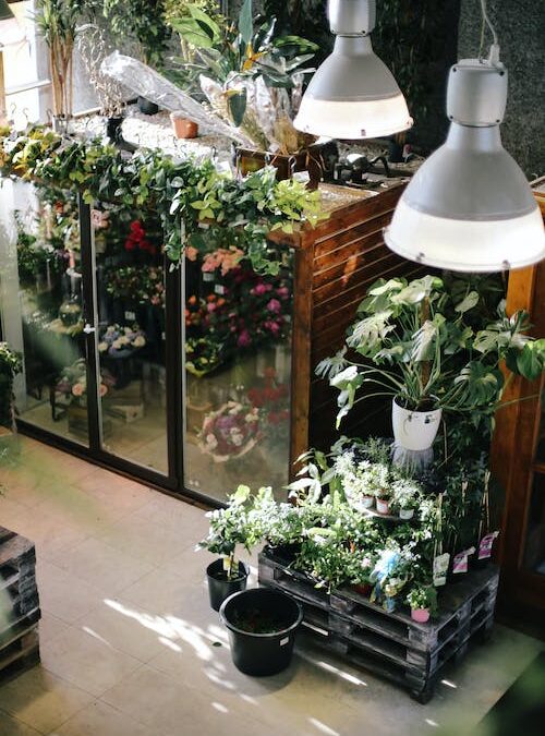 Tips voor het kopen en planten van tuinvegetatie